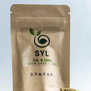 Banana Kush CBD Glasshouse