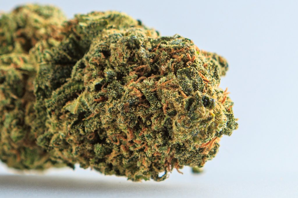 Cultivada en GlassHouse. Nueva cosecha 2023. Las flores normales de Bubblegum CBD son de un tamaño mediano/grande. El olor es particular, único , con notas fuertes y dulces que recuerdan a las frutas de verano que se mezclan perfectamente con notas más agrias de cítricos, terrosos y amaderados.