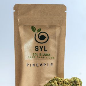 Pineapple Kush CBD Glasshouse