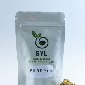 Cultivada en interior. Flores de muy buena calidad, un aroma cítrico muy similar a la normal. Flores más abiertas cun un verde claro y toque púrpuras. Una muy buena elección.