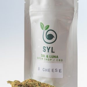 Blue Cheese CBD Indoor